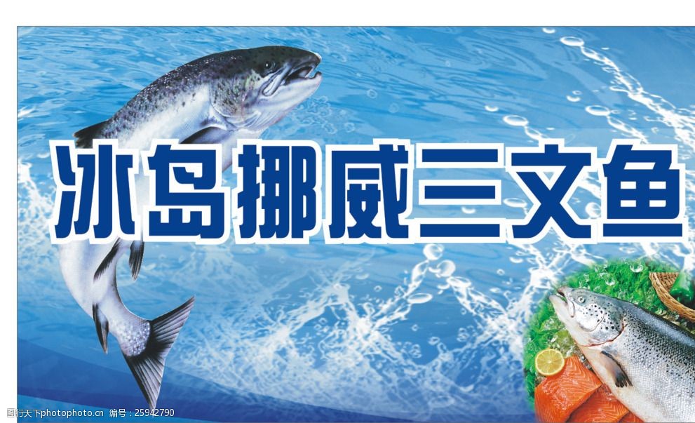 冰島挪威三文魚(yú) 優(yōu)質(zhì)水產(chǎn)品的典范