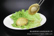煙臺(tái)鮮活水產(chǎn)品市場(chǎng)全覽 批發(fā)價(jià)格與城際分類(lèi)農(nóng)產(chǎn)品解析