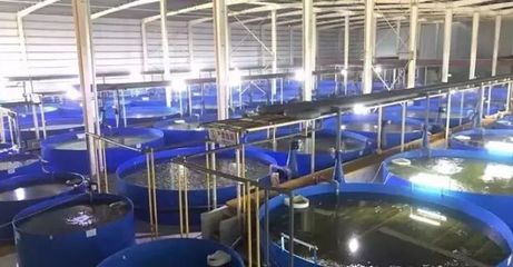 德清漁業養殖尾水治理成果顯著，再獲國家級專家關注
