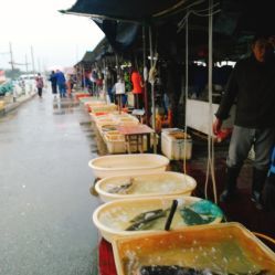無錫小溪橋水產批發市場 地址、電話、營業時間與美食探尋指南