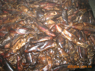 船凍紅魷魚(yú) 價(jià)格、廠家與粗加工水產(chǎn)品市場(chǎng)解析